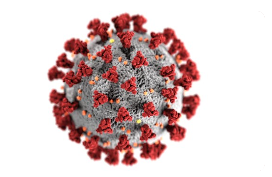 कोरोना वायरस
