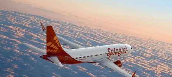 इंडिगो संकट